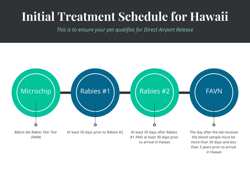 Hawaii Initial Vet Visits