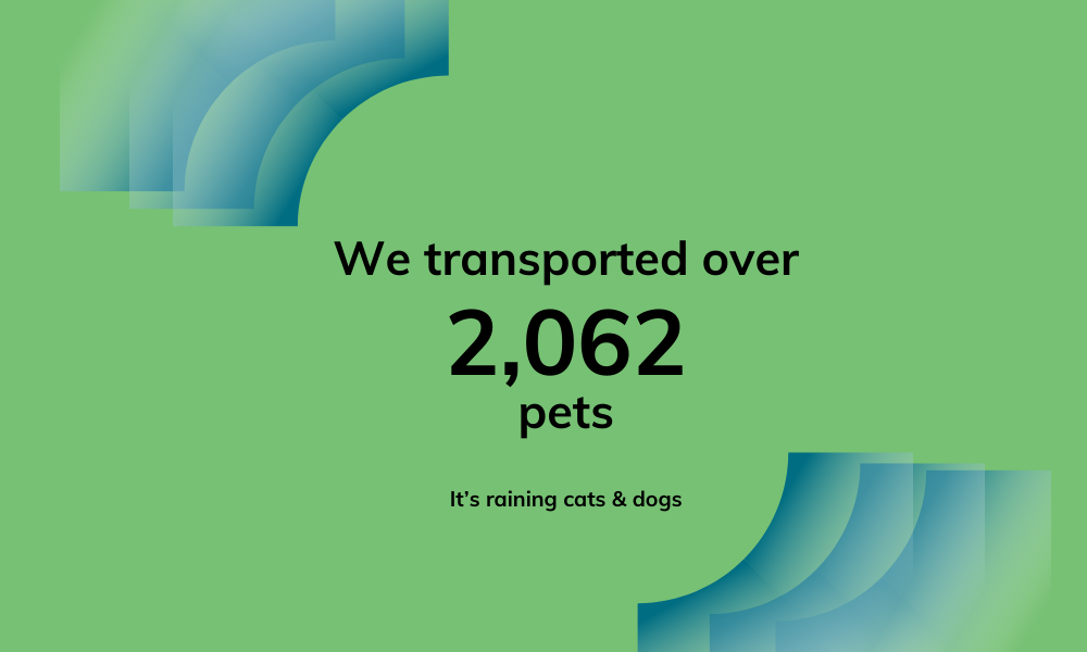 Starwood transported over 2062 pets across the globe.