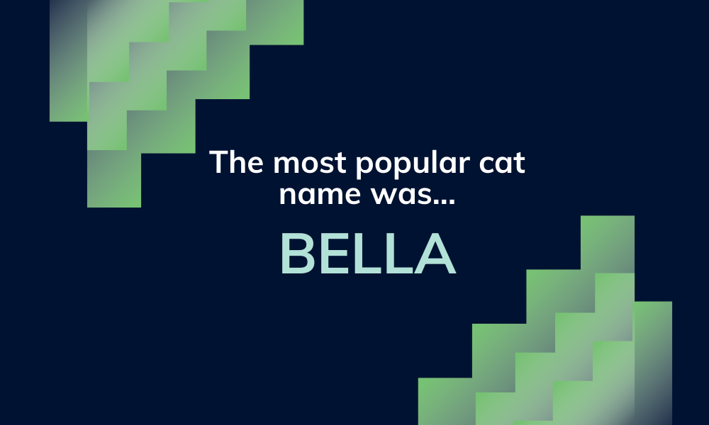 The most popular cat name of 2025 was Bella.