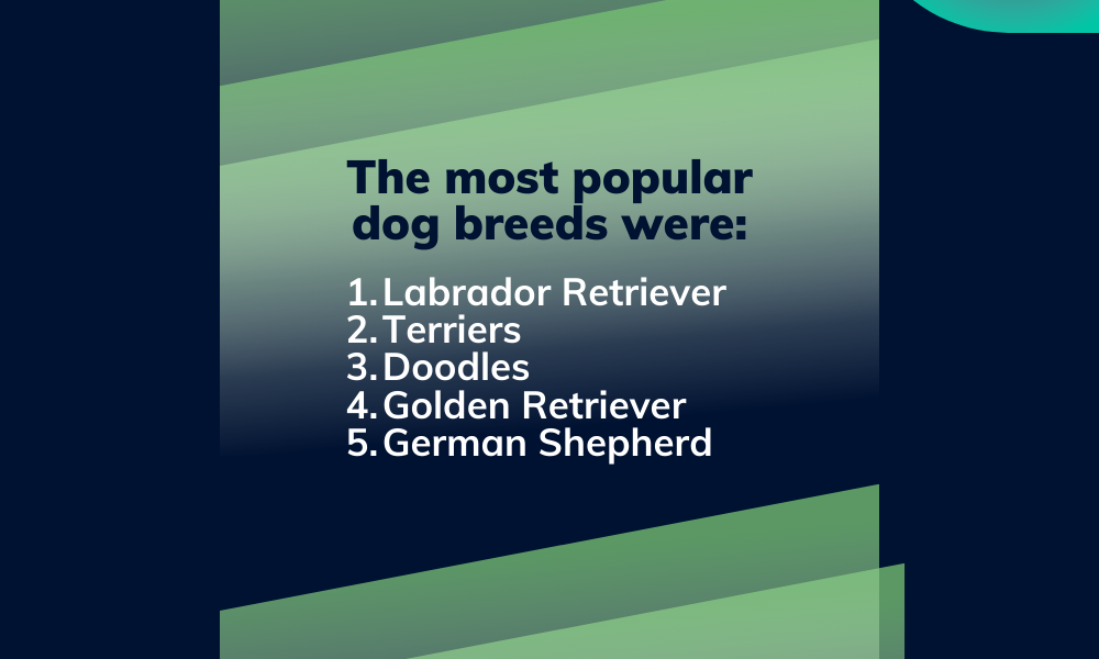 The most popular dog breeds for international pet travel 2025.