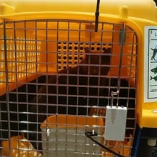 Advil's Trip to the UK's pet