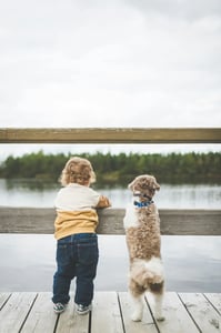 Boy standing next to dog on a bridge