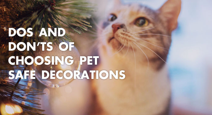 Do's and Don'ts of Choosing Pet Safe Decorations http://www.starwoodanimaltransport.com/blog/dos-donts-choosing-pet-safe-decorations