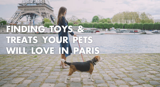 a lady and her dog walking along Paris to find pet toys and treats.