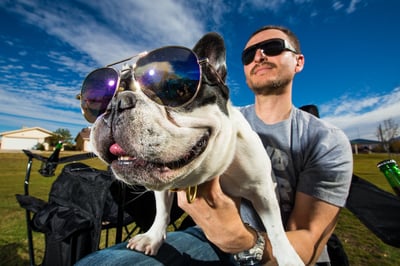 French bulldog in sunglasses sitting on mans lap