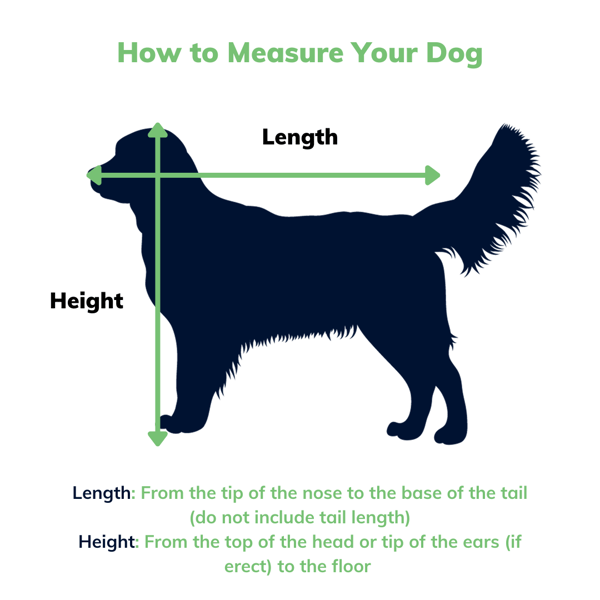 How to Measure Your Dog-3