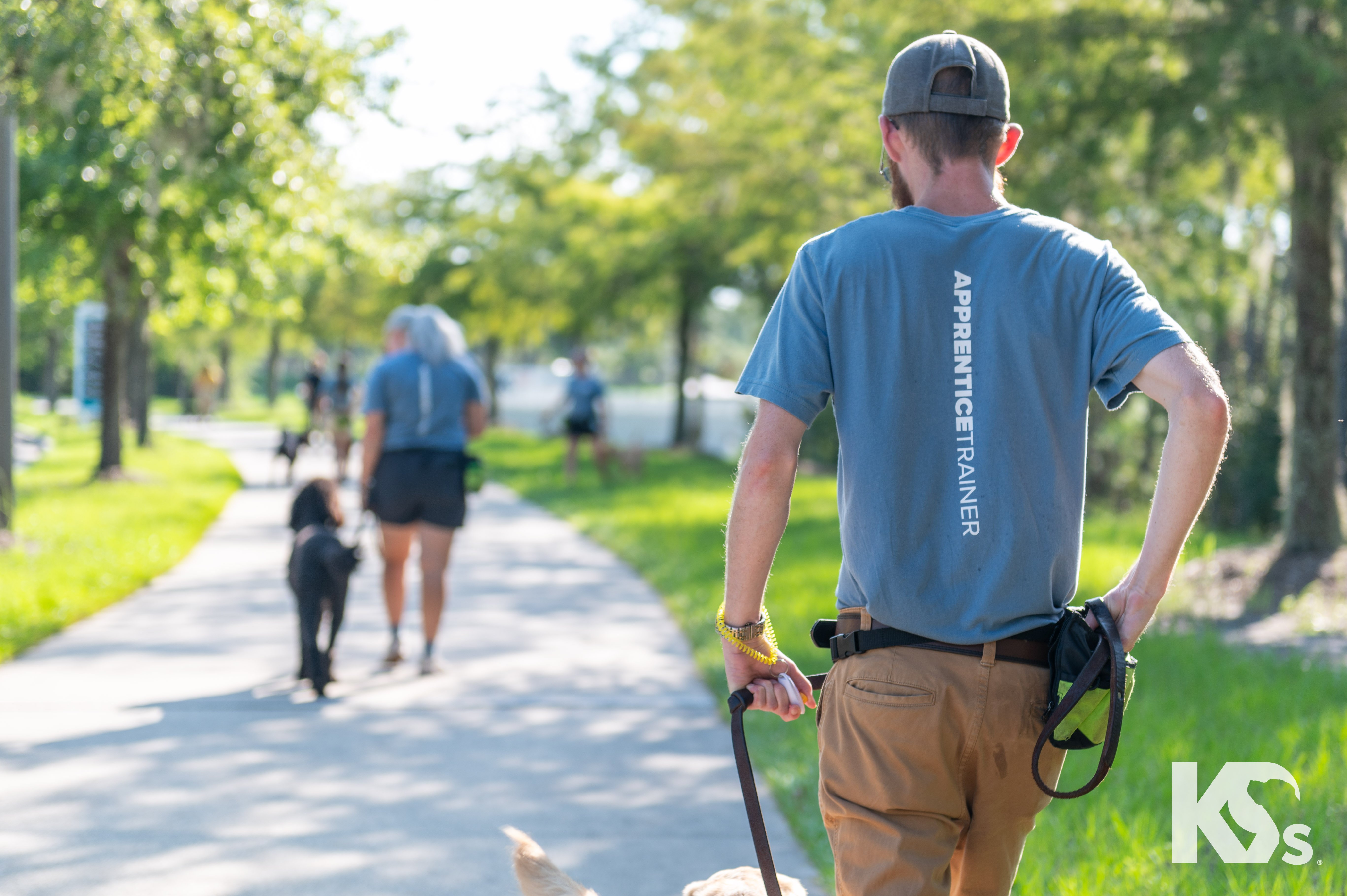 Dogs in training to help veterans with PTSD.