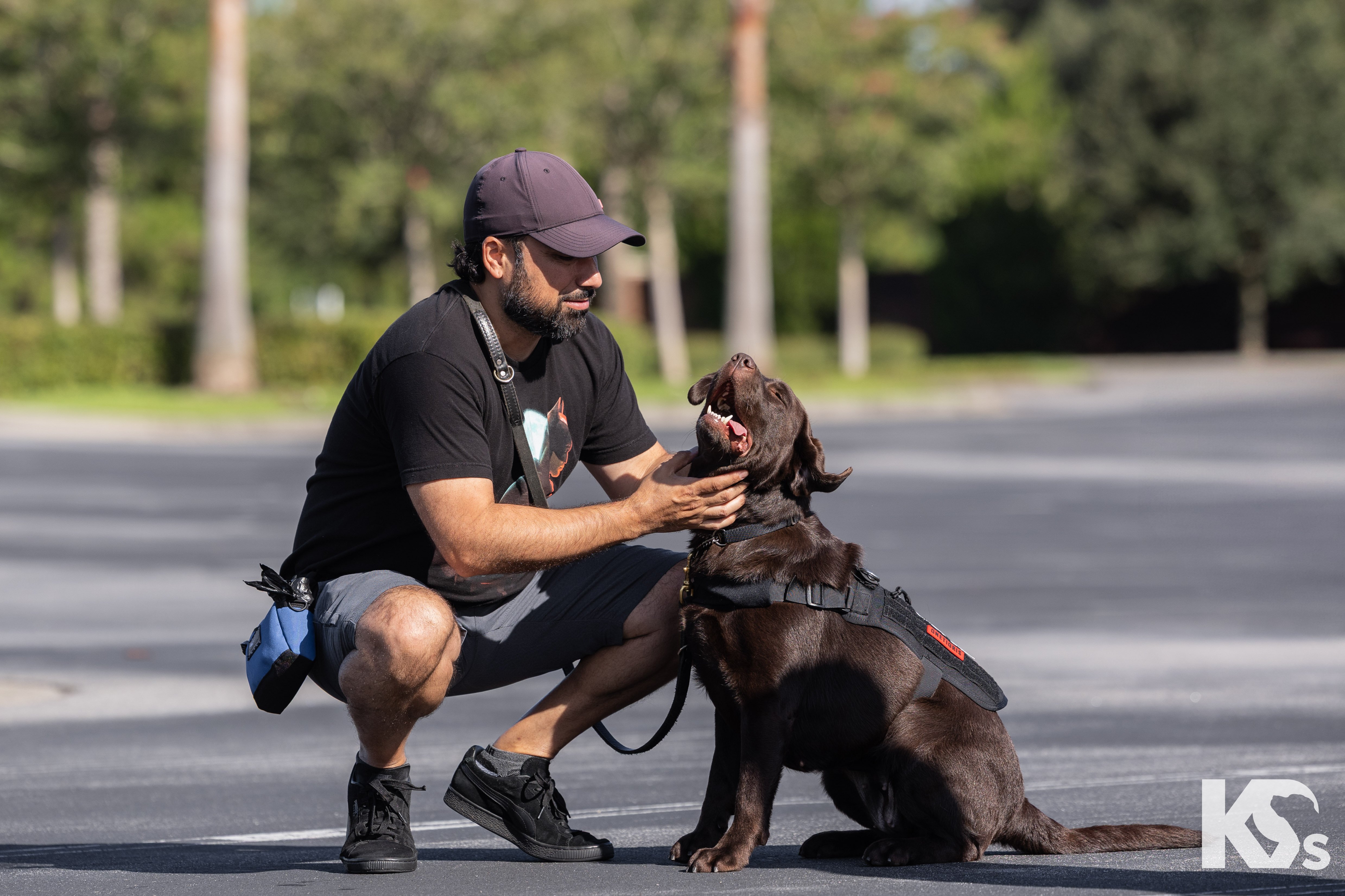 K9s For Warriors service dog getting pet by a veteran.