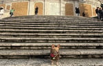 Penelope the dog standing in front of famous monument in Italy.