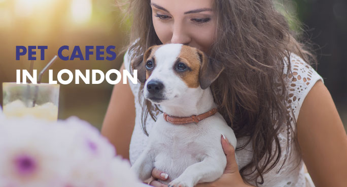 Pet-Cafes-London-Blog.jpg