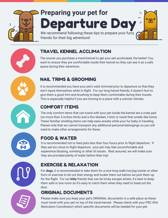 Preparing your pet for departure day-1