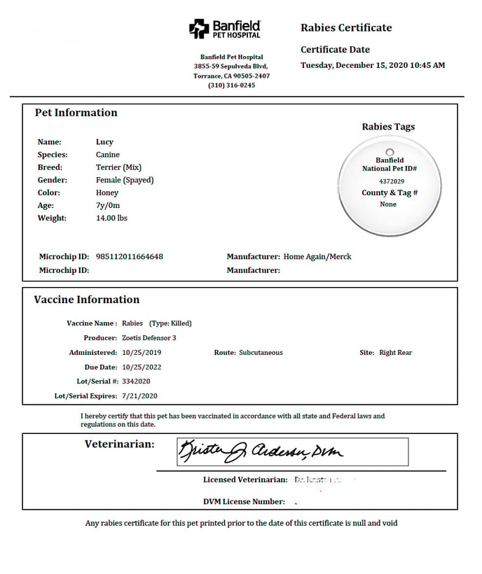 Rabies Cert Example