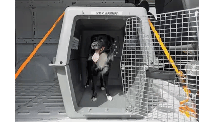 Travel Kennel Checklist