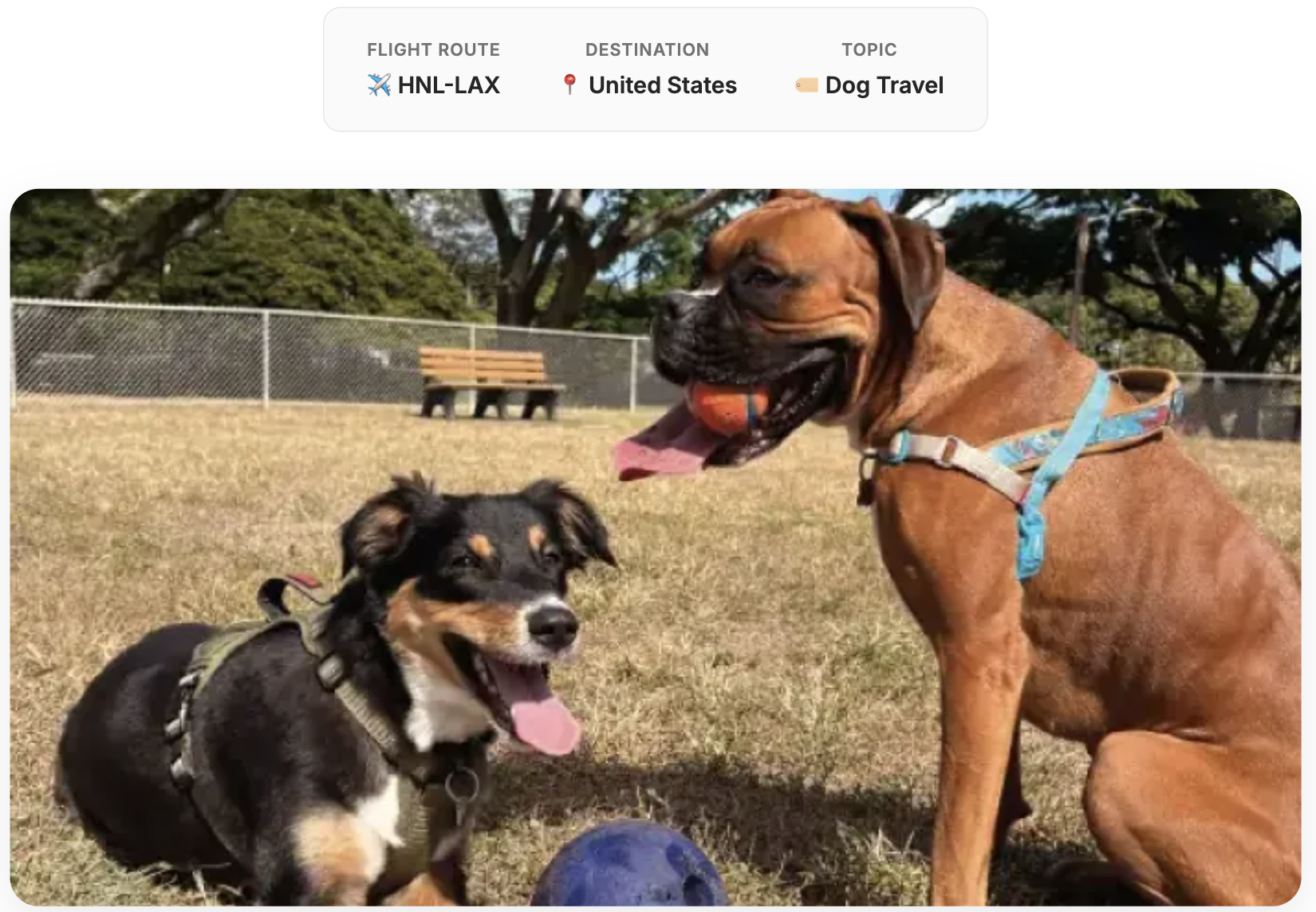 Two dogs that traveled from Honolulu to mainland USA.
