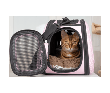 Cat inside a pink soft-sided travel carrier