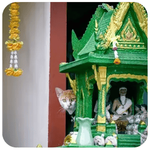 Photo of Thailand