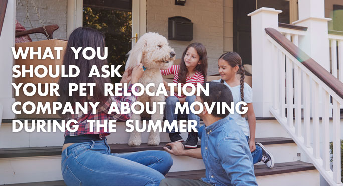 What You Should Ask Your Pet Relocation Company About Moving During the Summer https://www.starwoodanimaltransport.com/blog/what-to-ask-pet-relocation-company-about-moving-during-summer