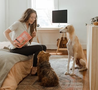 Woman teaching dogs to sit