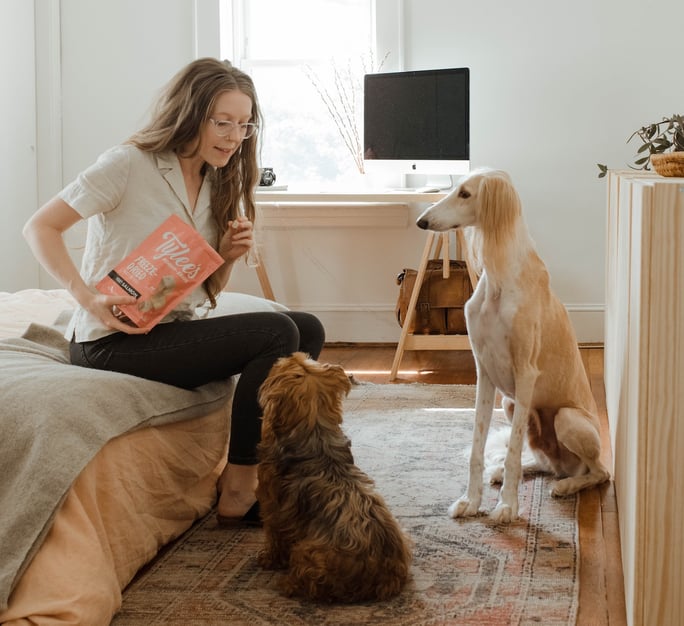 Woman training dogs to sit