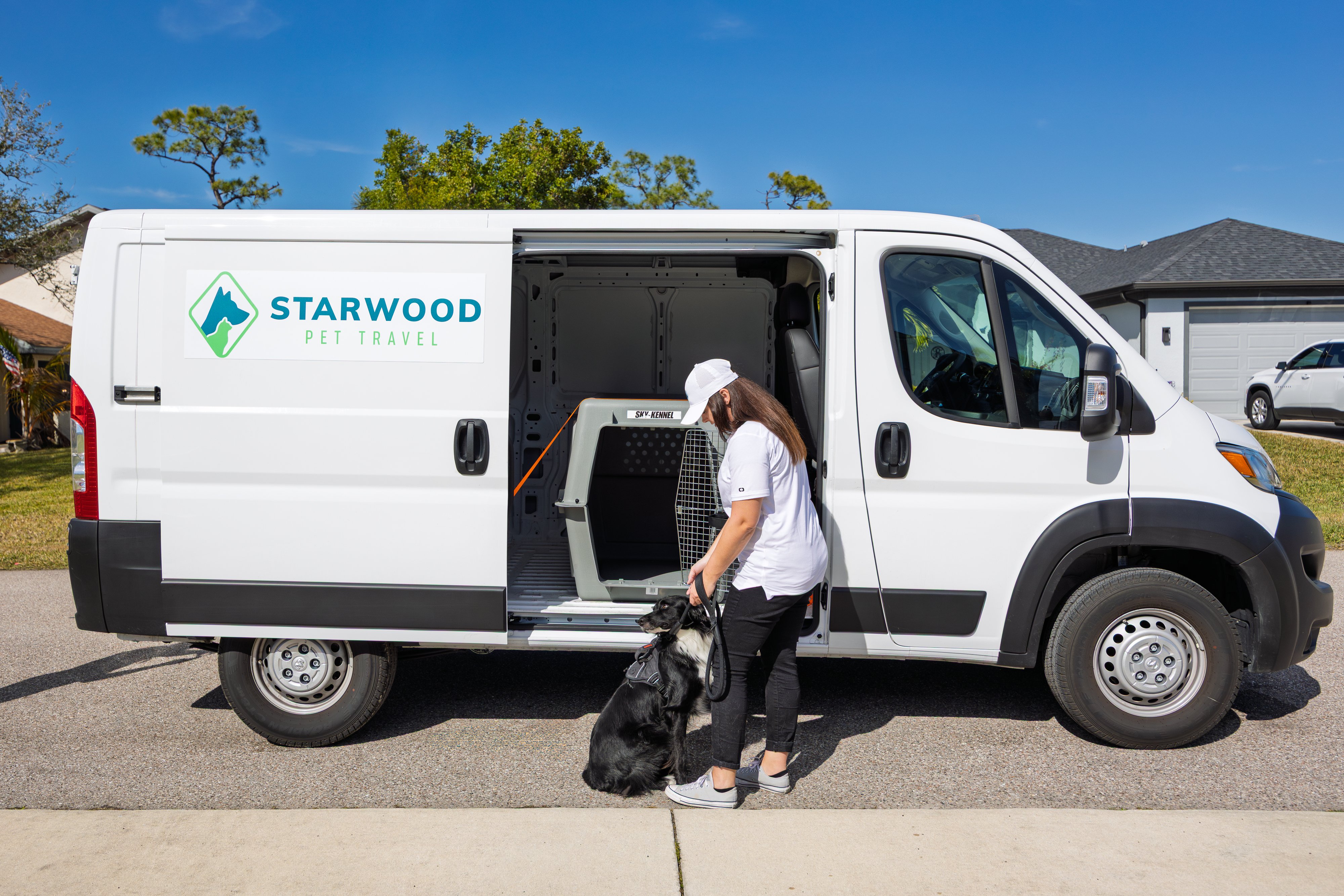 Drive transporting a dog to the airport for international pet travel in a Starwood Pet Travel van.