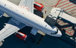 Airplane being loaded with cargo to Australia, including pets.