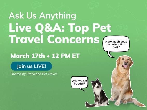 Ask us anything: Live Q&A on Top Pet Travel Concerns March 17th at 12 PM ET.