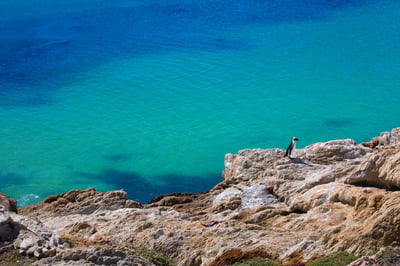 Betty's Bay, South Africa