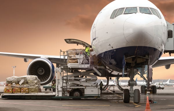 Airplane being loaded with cargo including live pets.