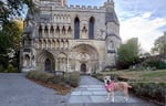 Dog standing in front of a castle in Europe.