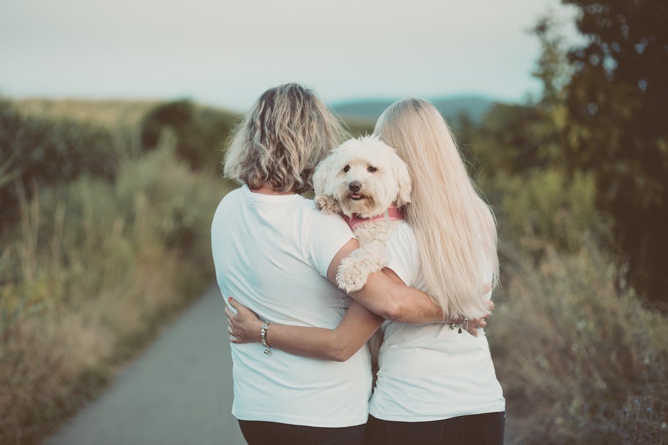 couple hugging and holding dog