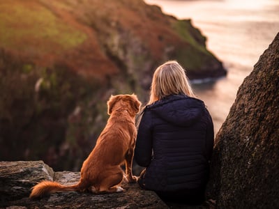 owner sitting on rock with dog