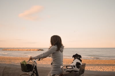 Dog riding bike with owner