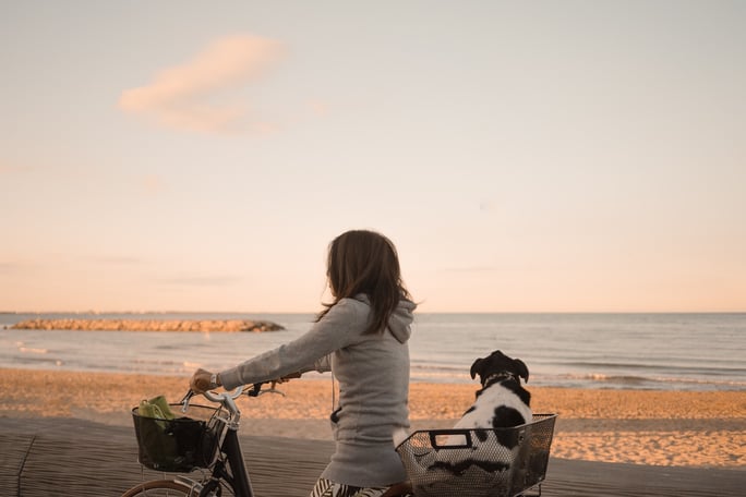 dog riding bike