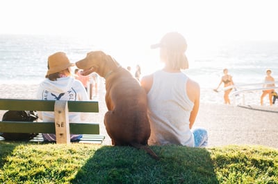 Dog sitting with owner at the beach