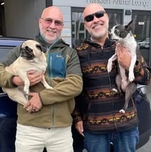 Pug and Terrier to Germany's pet