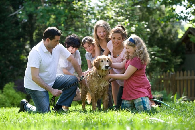 family bathing dog