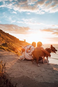 family sitting on beach with two dogs