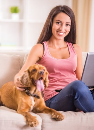 researchig flying with a dog before move internationally