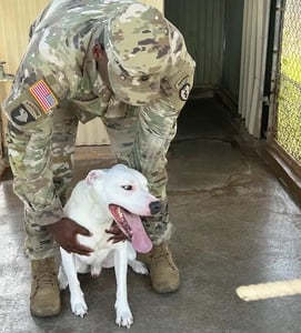 Military pet owner petting their white dog