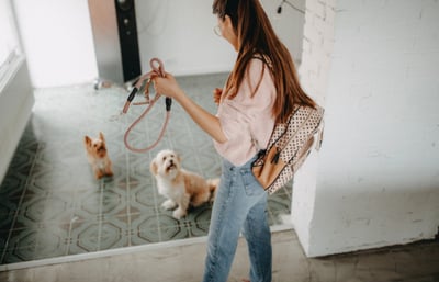 Women preparing to take her two dogs on an international trip to France.