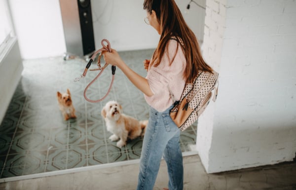 Women preparing to take her two dogs on an international trip to France.