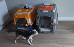 Pet travel kennels preparing for a flight to the UK from the USA.