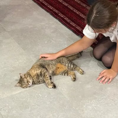 Pickles's pet