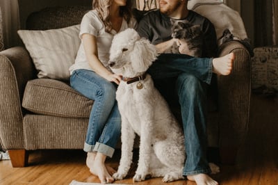 poodle and cat with family on couch