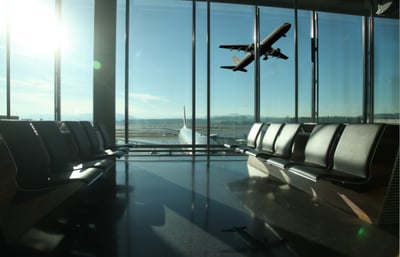 Airplane taking off to Lisbon airport in Portugal with pets on board.