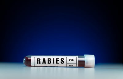 Vial of blood marked with 