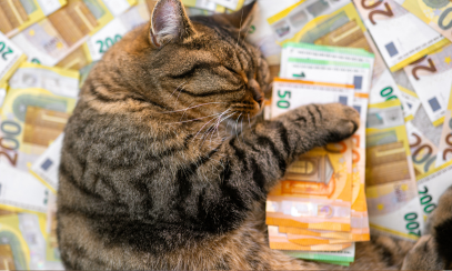 2026 International Pet Travel Cost Report