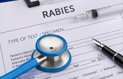RNATT testing for dogs and cats entering Australia