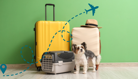 Pet Travel Timeline Tool