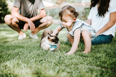 toddler in the grass with her cat